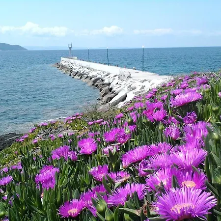 In Bb - Welcome To Petunia, In Neos-marmaras,xalkidiki ,greece, Triple 1 Gæstehus Neos Marmaras